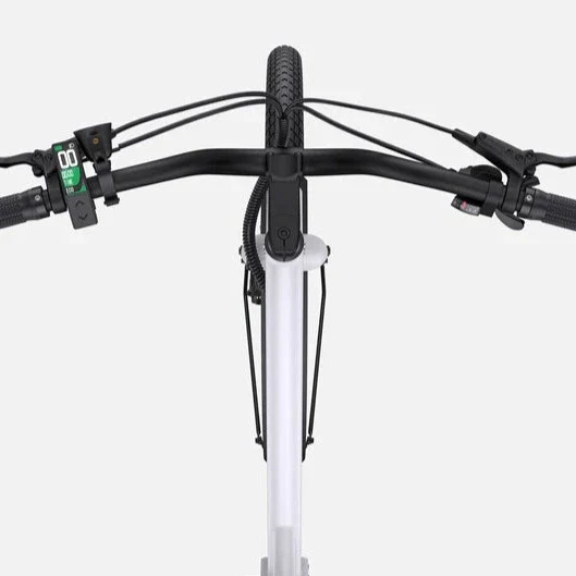 Ebike ENGWE P275 ST 250W 260 KM GARANZIA ITALIA Bici a pedalata assistita con motore centrale e sensore di coppia Ananda