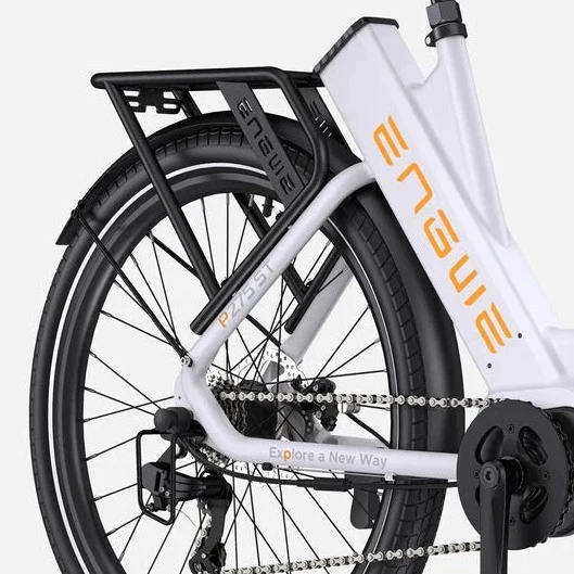 Ebike ENGWE P275 ST 250W 260 KM GARANZIA ITALIA Bici a pedalata assistita con motore centrale e sensore di coppia Ananda