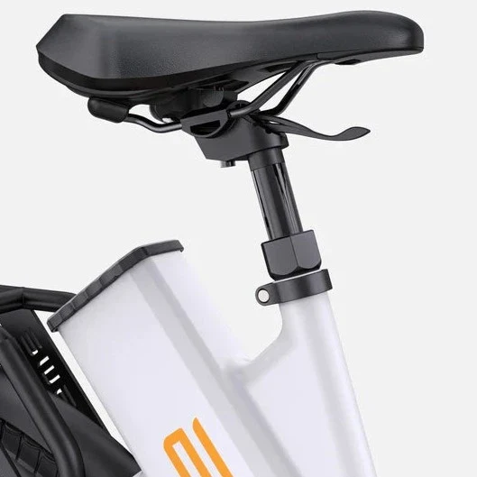 Ebike ENGWE P275 ST 250W 260 KM GARANZIA ITALIA Bici a pedalata assistita con motore centrale e sensore di coppia Ananda