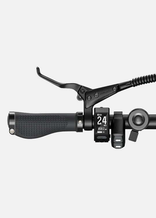 Ebike ENGWE P20 250W 100km GARANZIA ITALIA