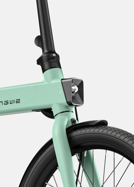 Ebike ENGWE P20 250W 100km GARANZIA ITALIA
