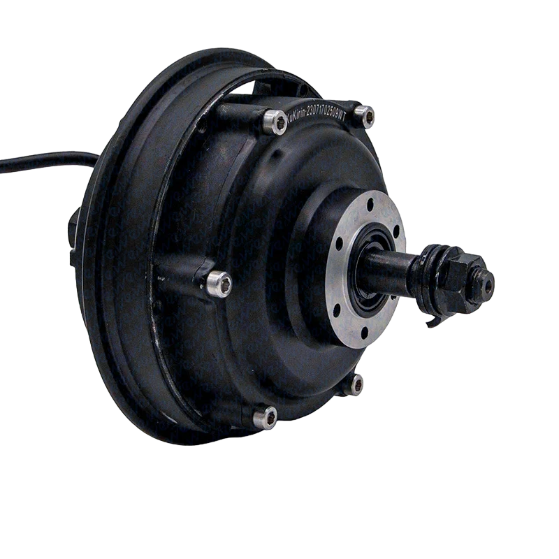 Motore Originale per monopattino elettrico Kugoo G2 Pro