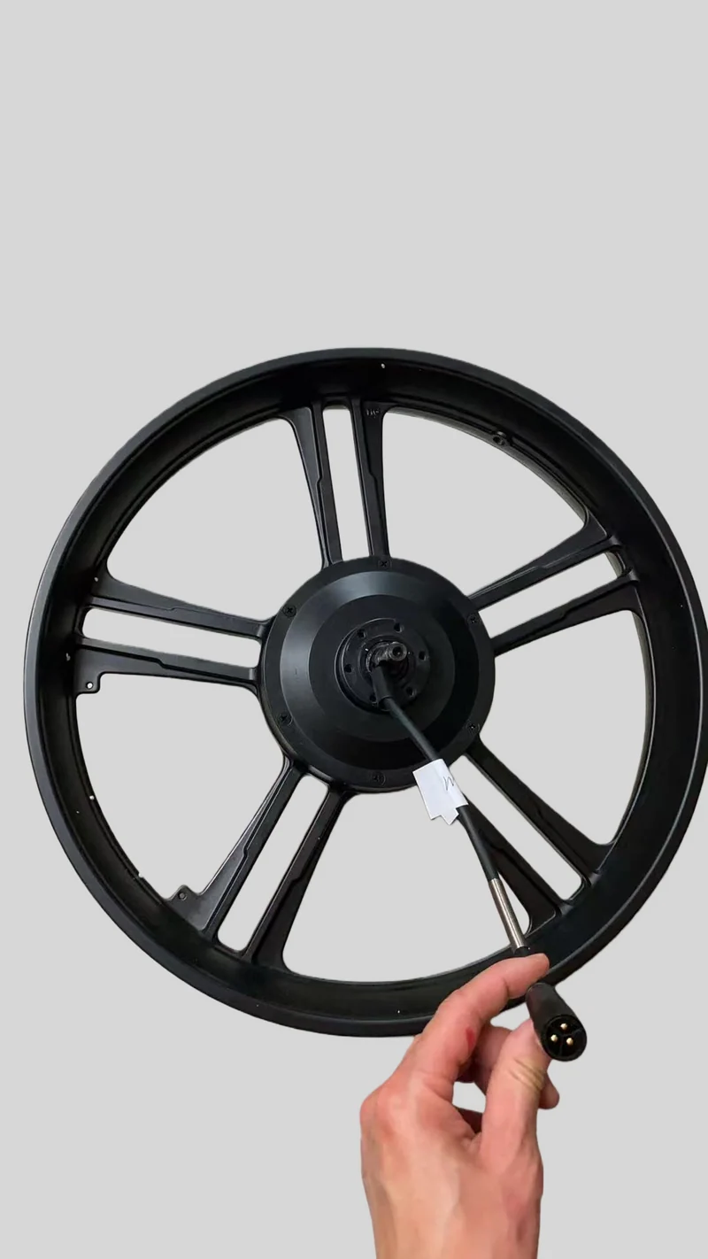 Cerchione Posteriore con Motore ruota Originale per ENGWE M20