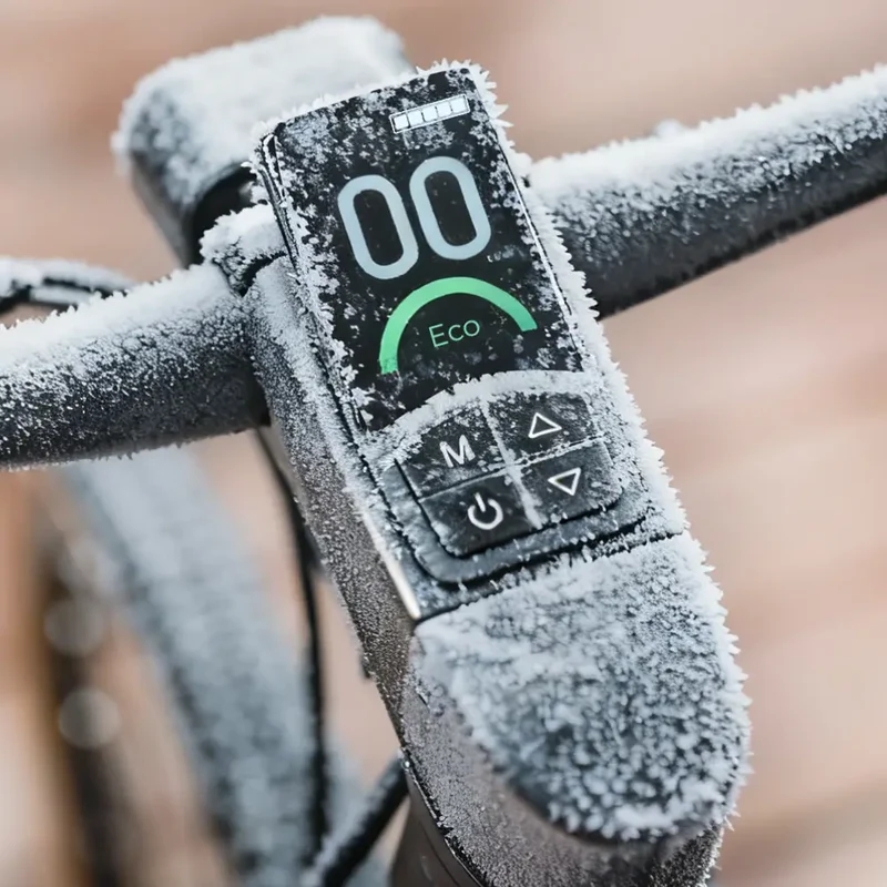 FIIDO E-Gravel C21 | Bicicletta elettrica Urbana | Motore 250W | DMEGC 208,8 Wh | Sensore di coppia | Freni idraulici | Autonomia 100Km| GARANZIA ITALIANA