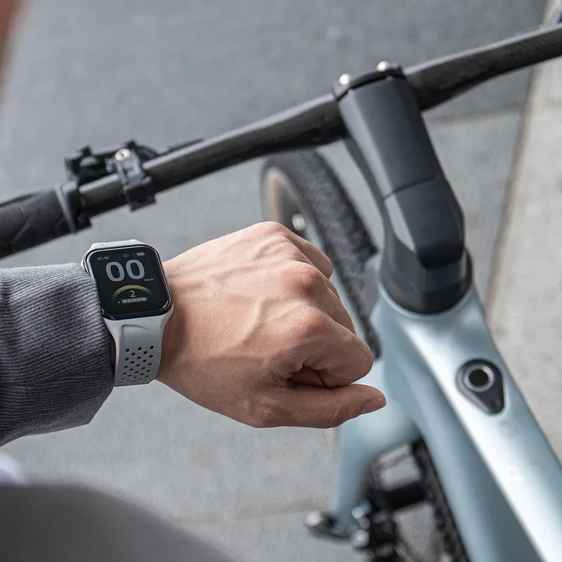 Fiido AIR| Bicicletta elettrica Urbana | Ultraleggero in Fibra di Carbonio | Motore 250W 35Nm | DMEGC 208,8 Wh | Sensore di coppia | Freni idraulici | Autonomia 60 Km| GARANZIA ITALIANA