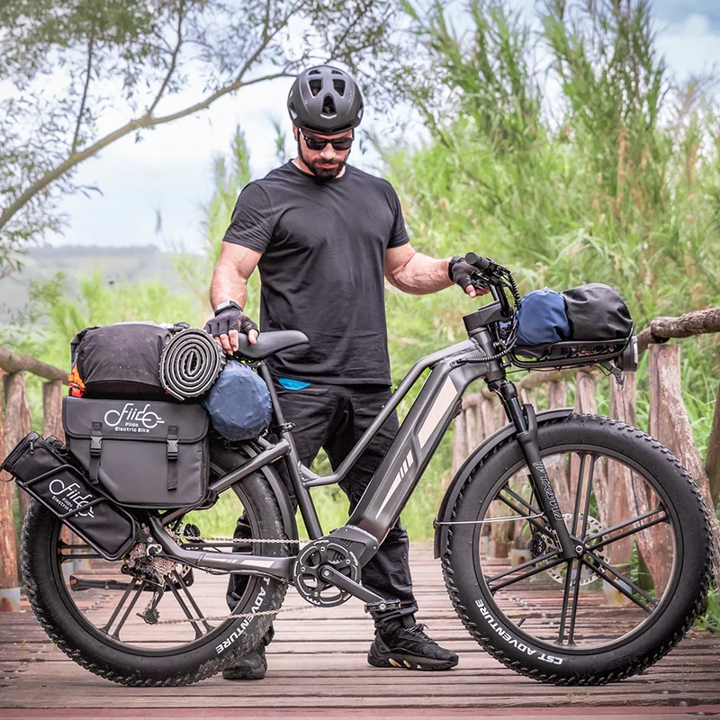 FIIDO Titan | Bicicletta elettrica | Sensore di Coppia | Motore 250W 55Nm | Autonomia 115km | GARANZIA ITALIANA