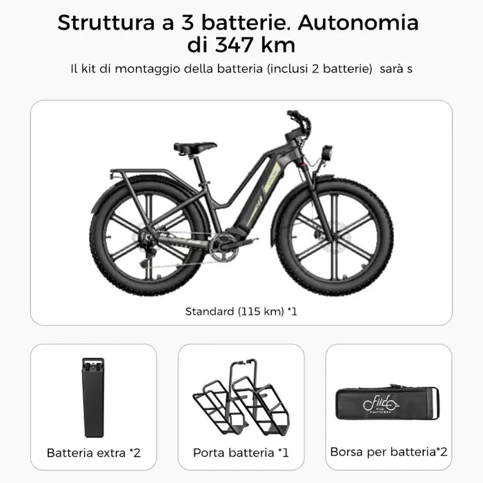 FIIDO Titan | Bicicletta elettrica | Sensore di Coppia | Motore 250W 55Nm | Autonomia 115km | GARANZIA ITALIANA