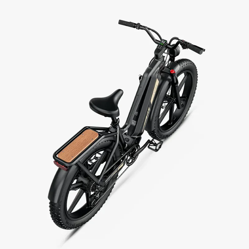 FIIDO Titan | Bicicletta elettrica | Sensore di Coppia | Motore 250W 55Nm | Autonomia 115km | GARANZIA ITALIANA