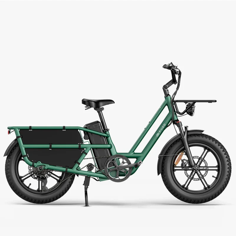 Fiido T2 | Longtail Cargo Bicicletta elettrica | Versatile| Motore 250W 55Nm | DMEGC 998.4Wh | Sensore di coppia | Freni idraulici a 4 pistoni | Autonomia 136,26Km| GARANZIA ITALIANA