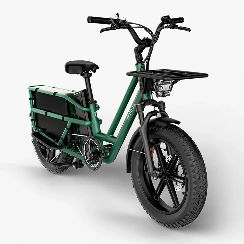Fiido T2 | Longtail Cargo Bicicletta elettrica | Versatile| Motore 250W 55Nm | DMEGC 998.4Wh | Sensore di coppia | Freni idraulici a 4 pistoni | Autonomia 136,26Km| GARANZIA ITALIANA