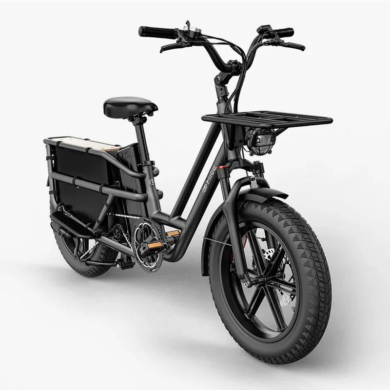 Fiido T2 | Longtail Cargo Bicicletta elettrica | Versatile| Motore 250W 55Nm | DMEGC 998.4Wh | Sensore di coppia | Freni idraulici a 4 pistoni | Autonomia 136,26Km| GARANZIA ITALIANA