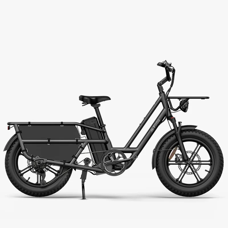 Fiido T2 | Longtail Cargo Bicicletta elettrica | Versatile| Motore 250W 55Nm | DMEGC 998.4Wh | Sensore di coppia | Freni idraulici a 4 pistoni | Autonomia 136,26Km| GARANZIA ITALIANA