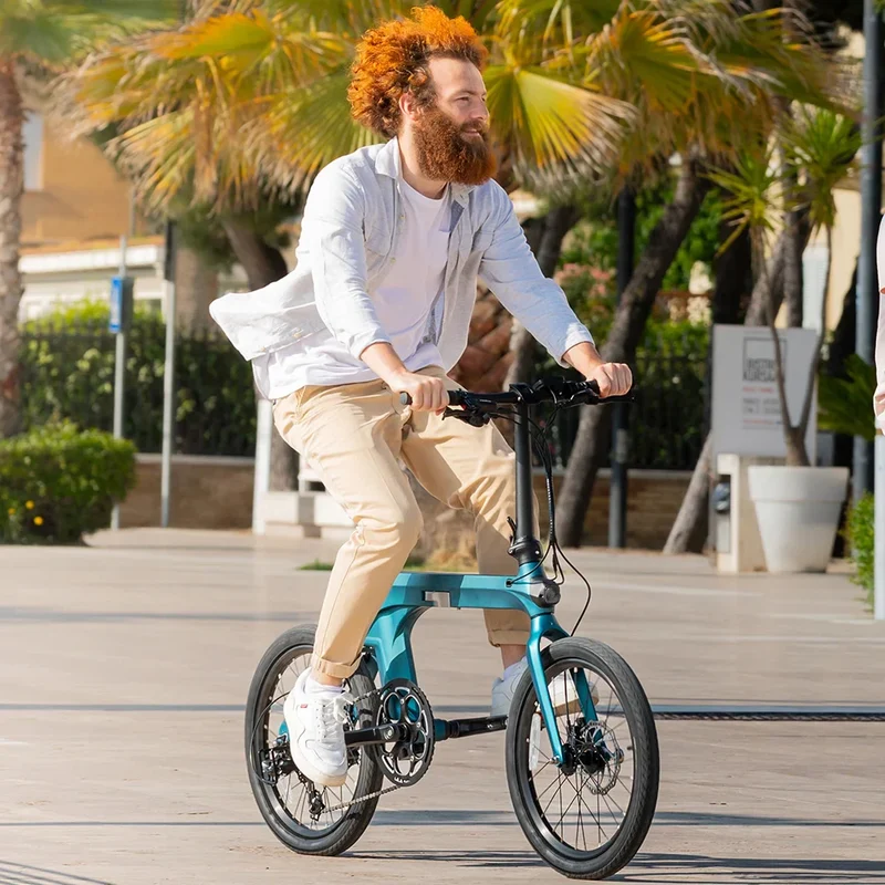 FIIDO X | Bicicletta elettrica | Sensore di coppia Mivice S200 | Motore 250W | Autonomia 130km | GARANZIA ITALIANA
