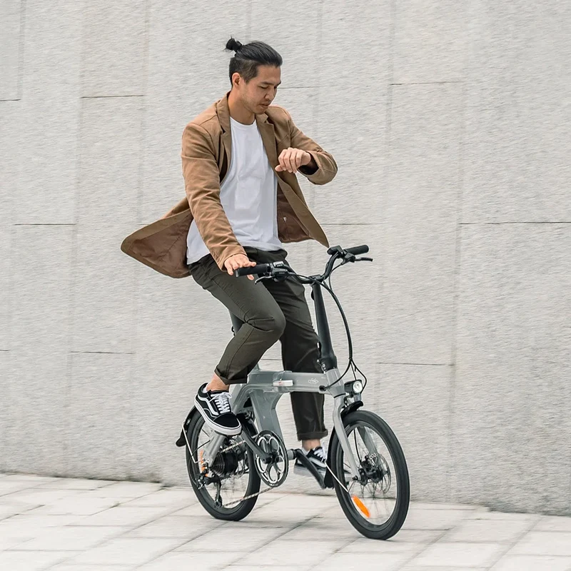 FIIDO D11 2025 | Bicicletta elettrica | Ultra Leggera | DMEGC 417,6 Wh | Sensore di coppia | Freni idraulici | Autonomia 86Km| GARANZIA ITALIANA