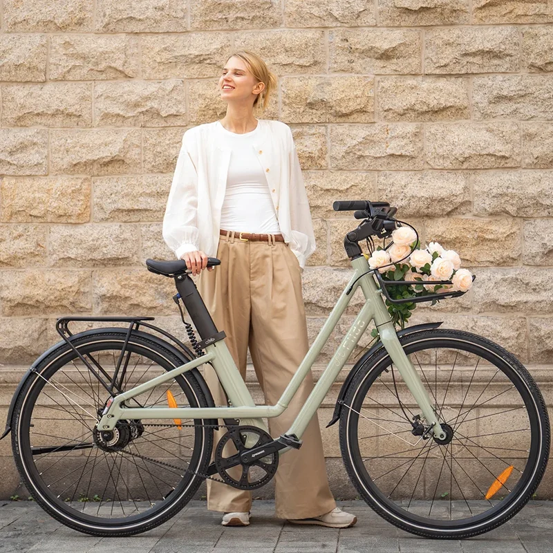 Fiido C700 | Bicicletta elettrica Urbana | Motore 250W | DMEGC 313,2 Wh | Sensore di coppia | Freni idraulici | Autonomia 83,14Km| GARANZIA ITALIANA