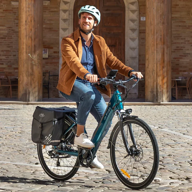 Fiido C11 Pro | Bicicletta elettrica Urbana | Motore 250W 55Nm | DMEGC/EVE 499,2Wh | Sensore di coppia | Freni idraulici | Autonomia 104Km| GARANZIA ITALIANA