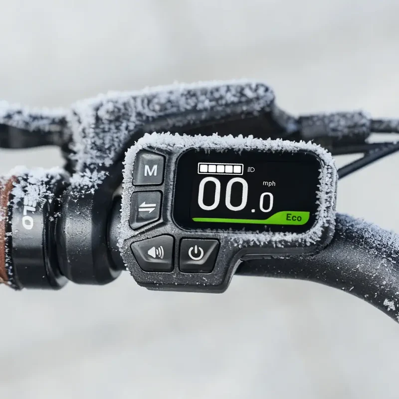 Fiido C11 Pro | Bicicletta elettrica Urbana | Motore 250W 55Nm | DMEGC/EVE 499,2Wh | Sensore di coppia | Freni idraulici | Autonomia 104Km| GARANZIA ITALIANA