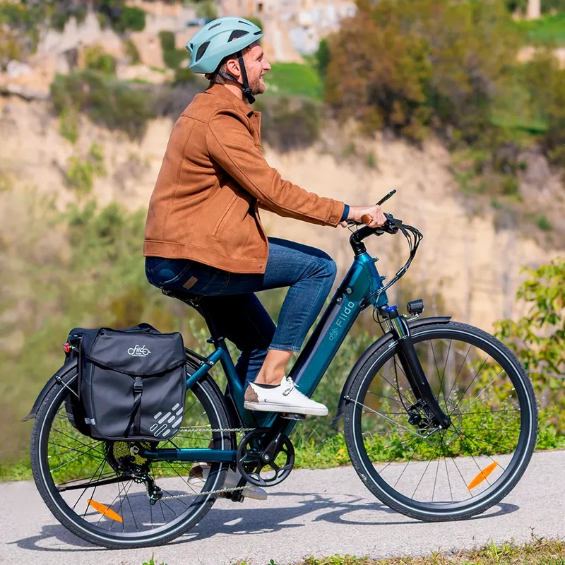 Fiido C11 Pro | Bicicletta elettrica Urbana | Motore 250W 55Nm | DMEGC/EVE 499,2Wh | Sensore di coppia | Freni idraulici | Autonomia 104Km| GARANZIA ITALIANA