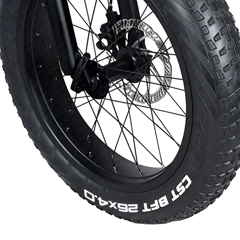 COPERTURA FAT 26 X 4.0 [CST] Pneumatico ruota Bici FAT