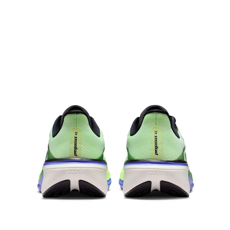 Pegasus 42