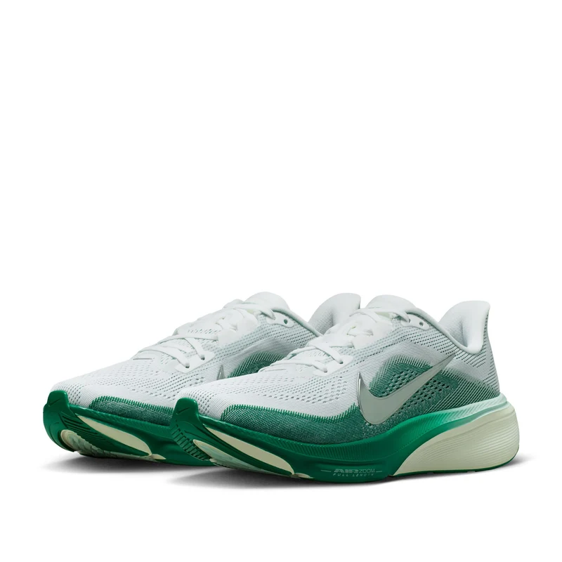 Pegasus 42
