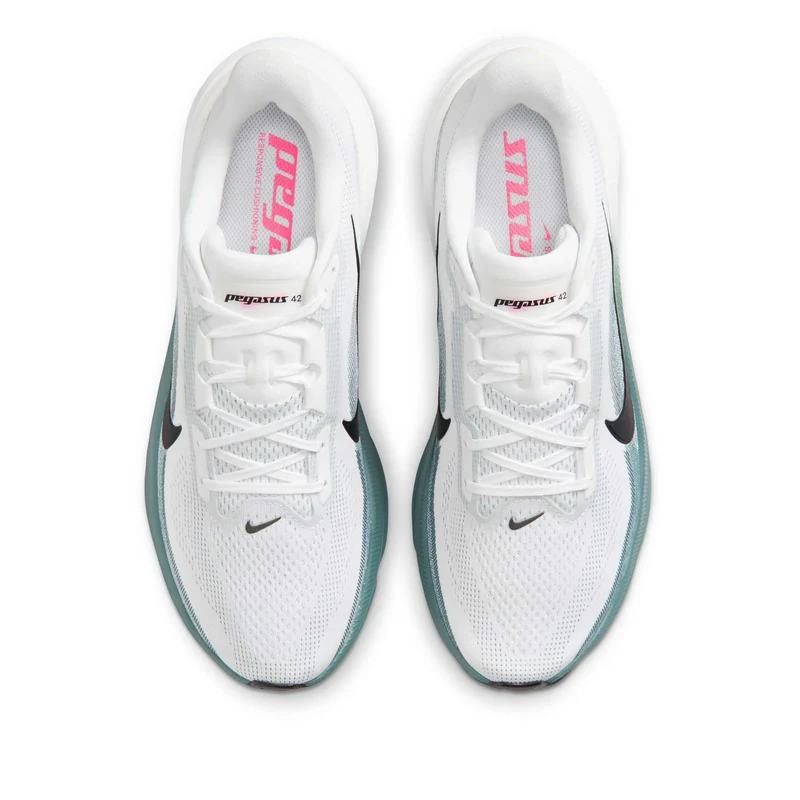 Pegasus 42