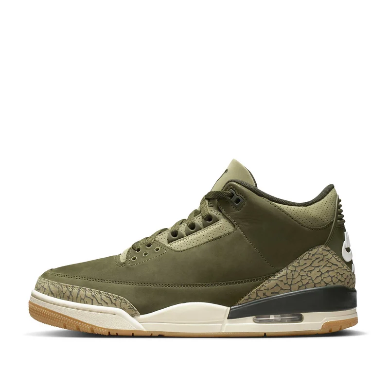 Air Jordan 3 Retro