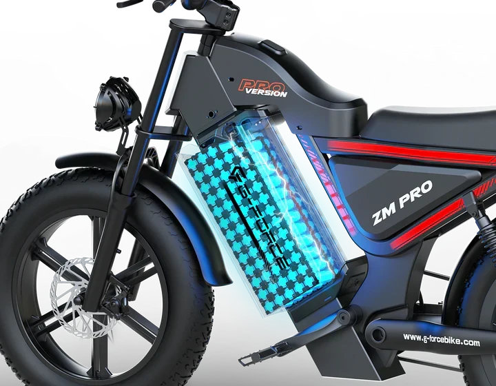 G-FORCE ZM PRO 2025 New Premium All-terrain Motor Style Electric Bike | GARANZIA ITALIANA