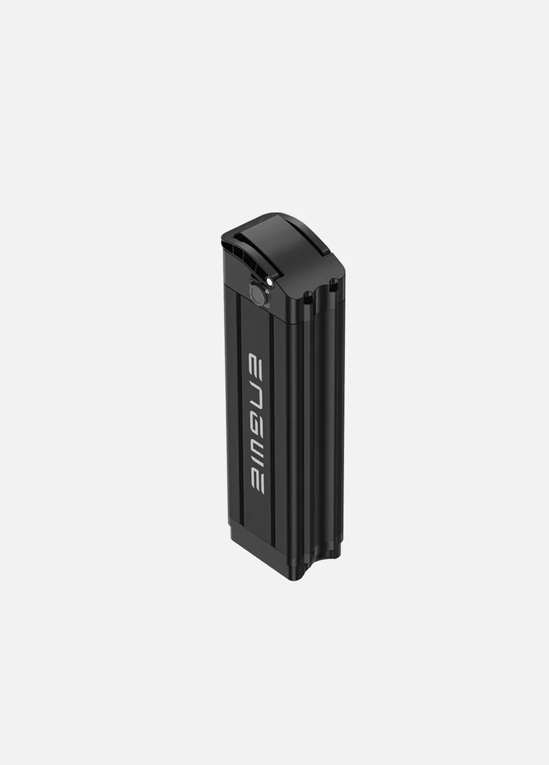 Batteria ENGWE Originale 48V 13Ah solo per Engwe L20/L20 BOOST