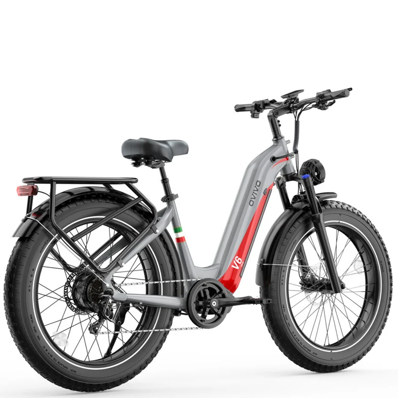 OVIVO V6 PRO | Bicicletta Elettrica Pieghevole | Versatile | Motore BAFANG 250W | 48V 20Ah | Freni Idraulici | 25km/h | Autonomia 120-150Km | GARANZIA ITALIANA