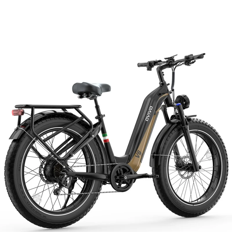 OVIVO V6 PRO | Bicicletta Elettrica Pieghevole | Versatile | Motore BAFANG 250W | 48V 20Ah | Freni Idraulici | 25km/h | Autonomia 120-150Km | GARANZIA ITALIANA