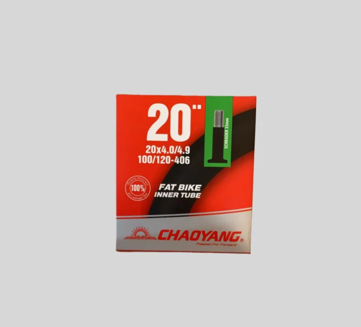 Camera d'aria CHAOYANG/CST 20x4.0 pollici per FAT TIRE bici elettriche ENGWE EP-2 Pro/EP-2 Pro EU/Engine Pro/Engine Pro 2.0/FIIDO M1/M1 Pro/SHENGMILO