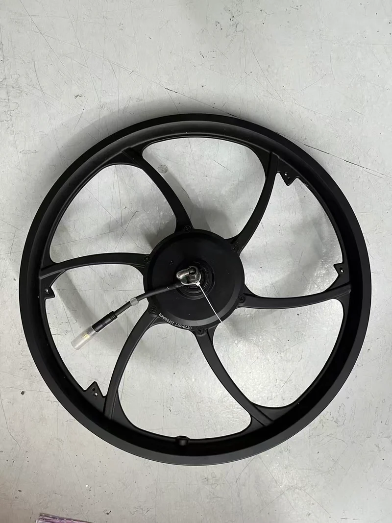 Cerchione Posteriore con Motore ruota Originale per ENGWE P1