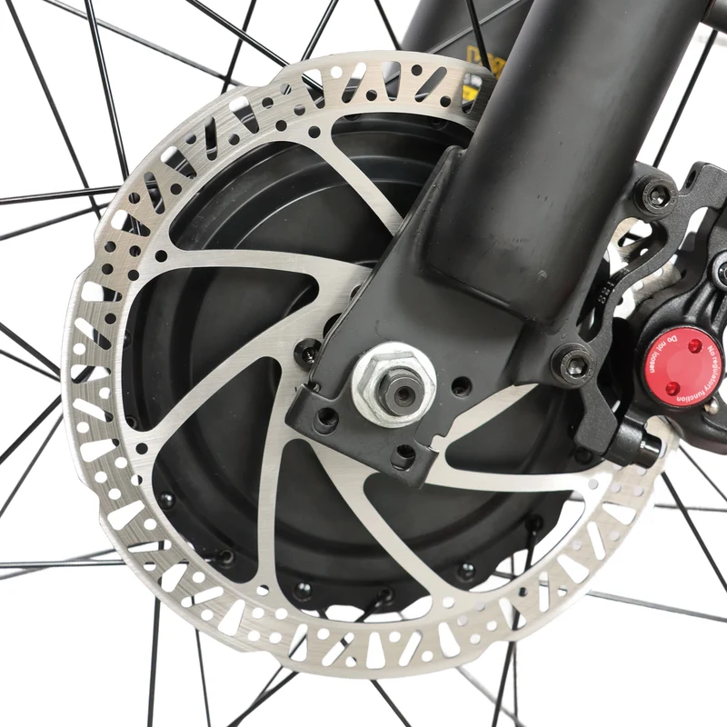 BAOLUJIE DP-2602 26" Fat-Tire E-Bike 2000W Motor 48V 23Ah Battery