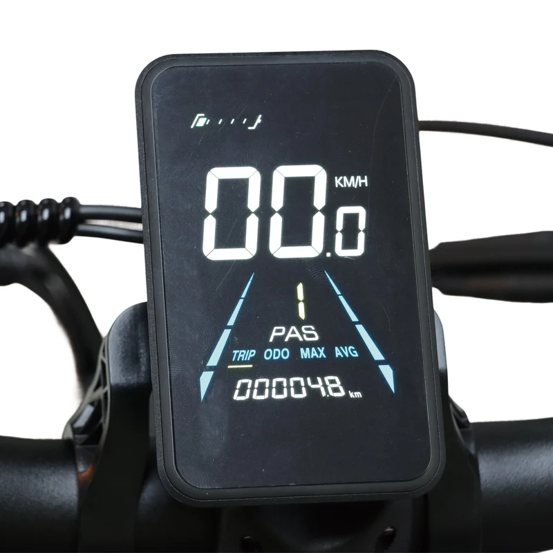 BAOLUJIE DP-2602 26" Fat-Tire E-Bike 2000W Motor 48V 23Ah Battery