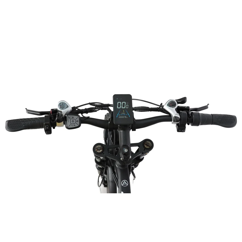 BAOLUJIE DP-2602 26" Fat-Tire E-Bike 2000W Motor 48V 23Ah Battery