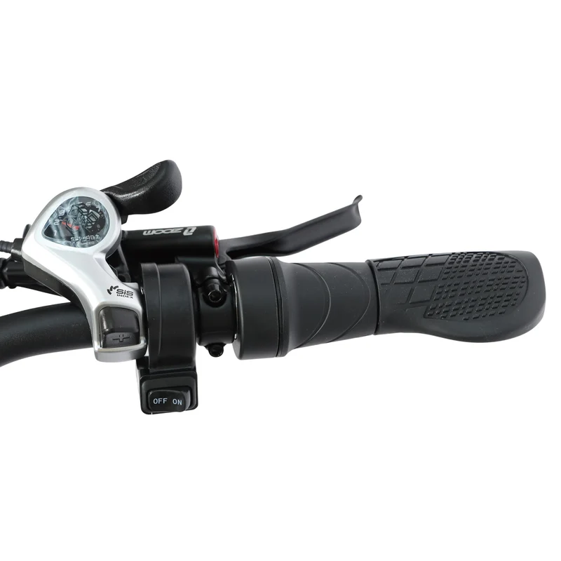 BAOLUJIE DP-2602 26" Fat-Tire E-Bike 2000W Motor 48V 23Ah Battery