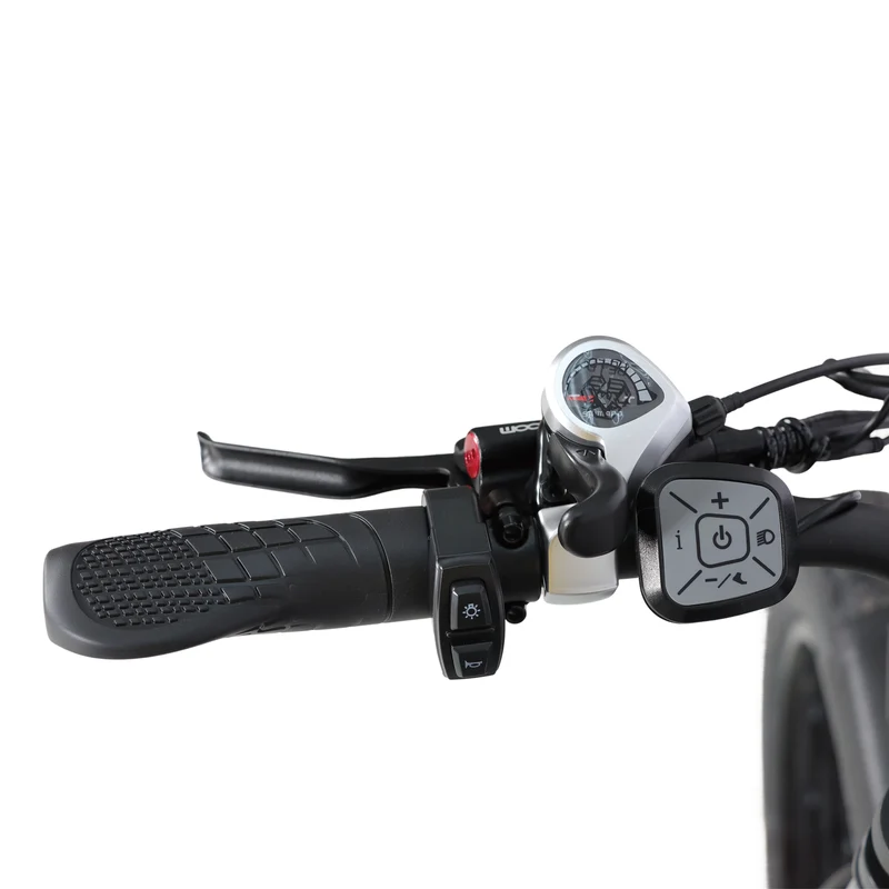 BAOLUJIE DP-2602 26" Fat-Tire E-Bike 2000W Motor 48V 23Ah Battery