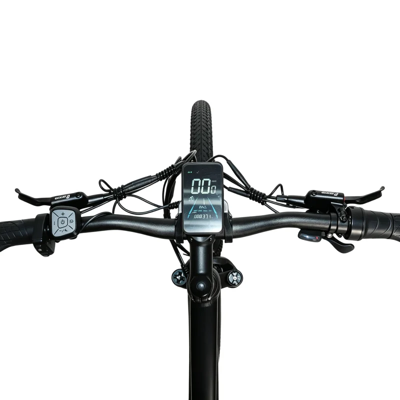 BAOLUJIE BLJ S9 29" Mountain E-Bike 750W Motor 48V 14Ah Battery