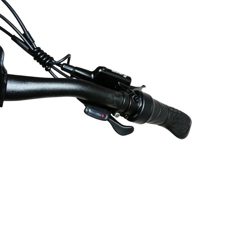 BAOLUJIE BLJ S9 29" Mountain E-Bike 750W Motor 48V 14Ah Battery