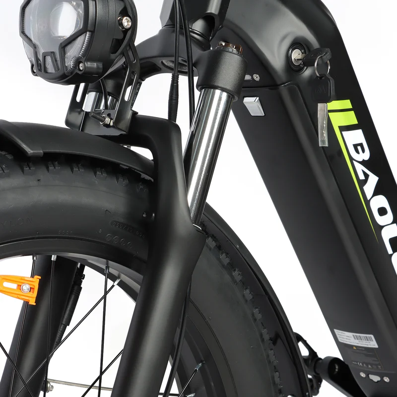 BAOLUJIE P7 2401 24" Step-Thru E-Bike 2000W Motor 48V 20Ah Battery