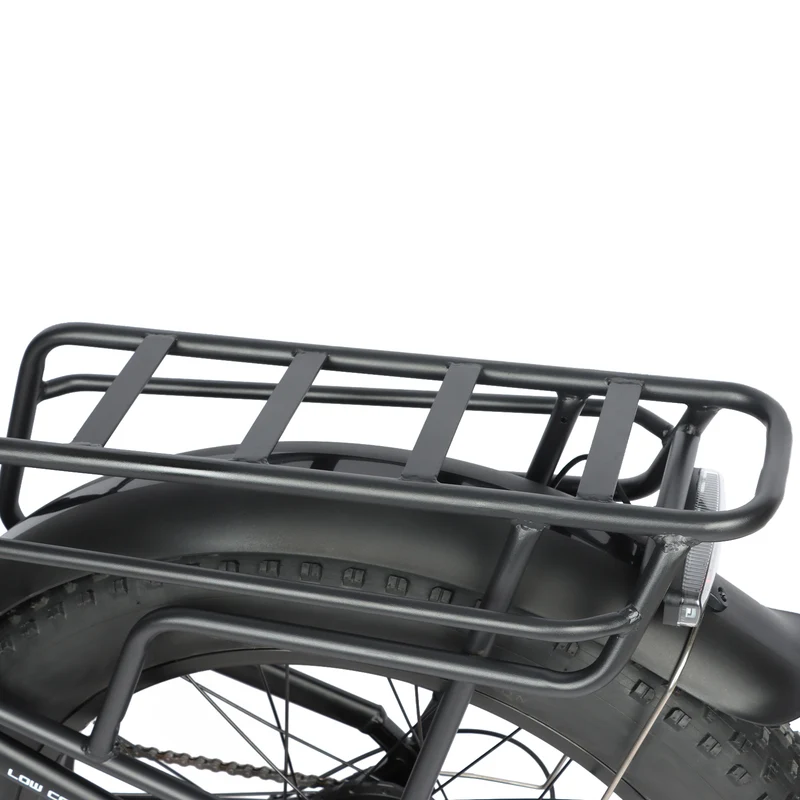 BAOLUJIE P7 2401 24" Step-Thru E-Bike 2000W Motor 48V 20Ah Battery
