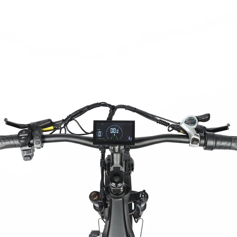 BAOLUJIE P7 2401 24" Step-Thru E-Bike 2000W Motor 48V 20Ah Battery