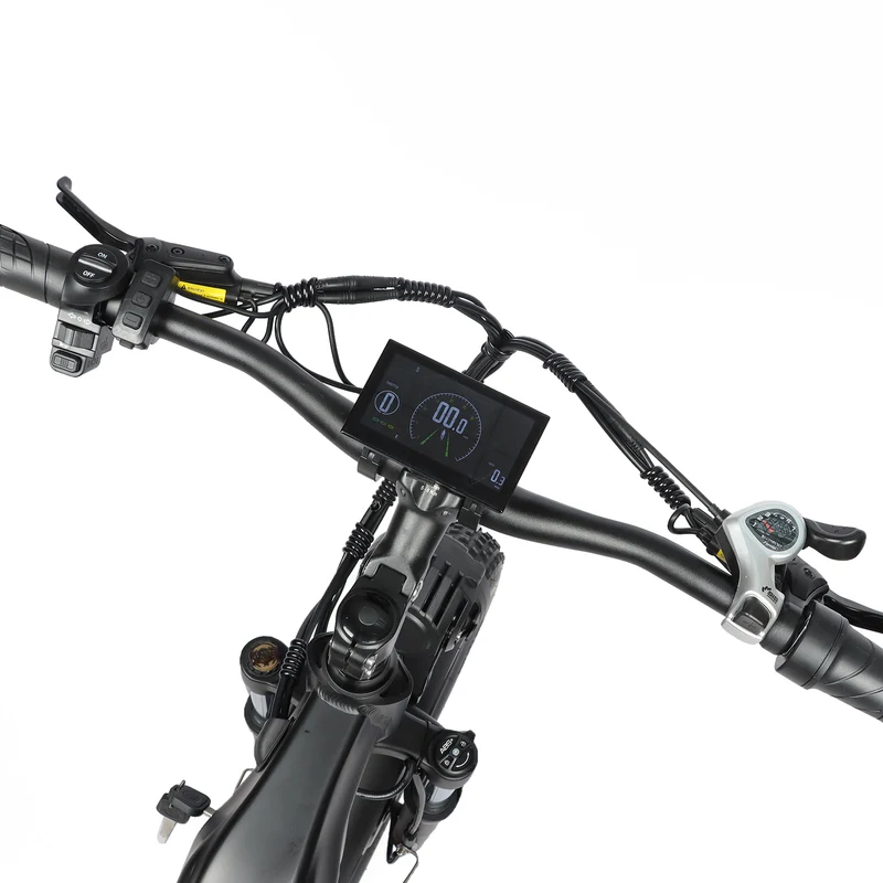 BAOLUJIE P7 2401 24" Step-Thru E-Bike 2000W Motor 48V 20Ah Battery