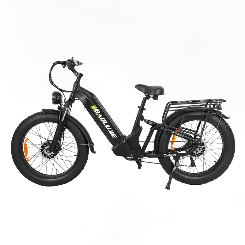 BAOLUJIE P7 2401 24" Step-Thru E-Bike 2000W Motor 48V 20Ah Battery