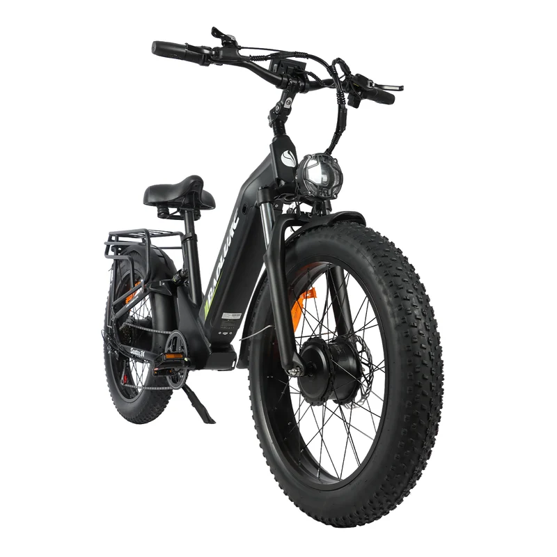 BAOLUJIE P7 2401 24" Step-Thru E-Bike 2000W Motor 48V 20Ah Battery