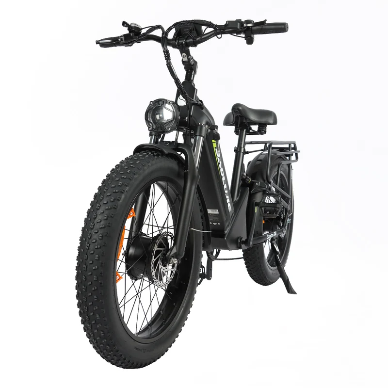 BAOLUJIE P7 2401 24" Step-Thru E-Bike 2000W Motor 48V 20Ah Battery
