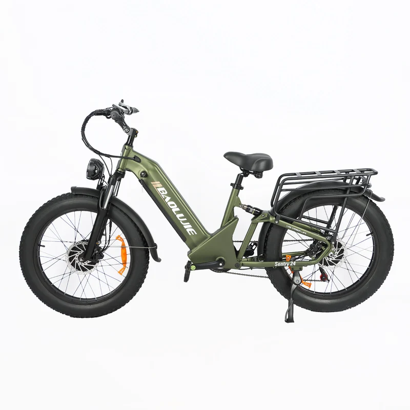 BAOLUJIE P7 2401 24" Step-Thru E-Bike 2000W Motor 48V 20Ah Battery