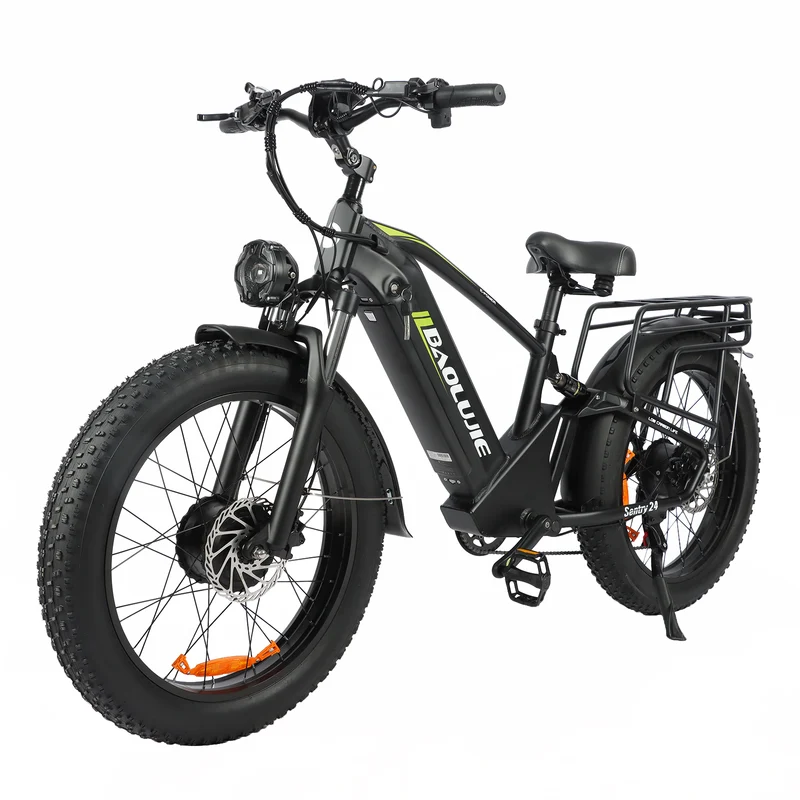 BAOLUJIE P6 2401 24" Mountain E-Bike 2000W Motor 48V 20Ah Battery