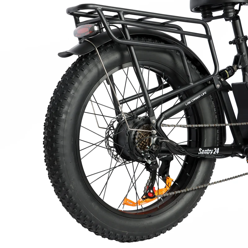 BAOLUJIE P6 2401 24" Mountain E-Bike 2000W Motor 48V 20Ah Battery